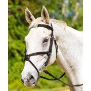 Shires Avignon Woodside Figure-8 Bridle Cob