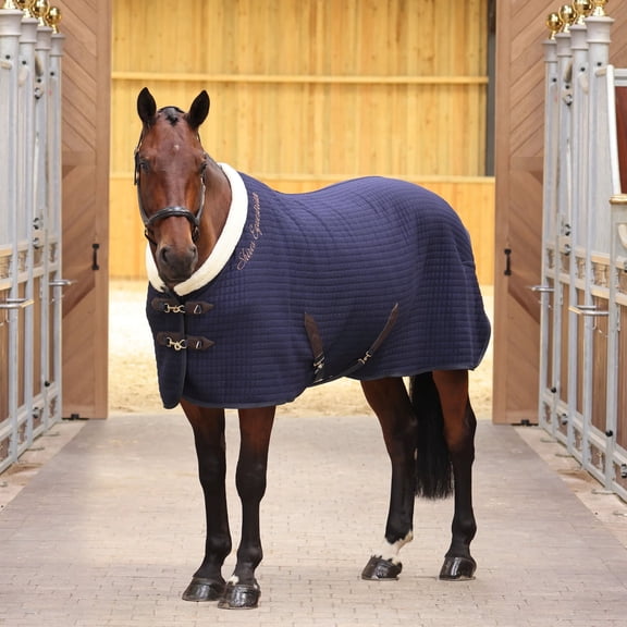 Shires Deluxe Tech Cooler Horse Blanket - Moisture Wicking Equestrian Cooling Sheet - Multiple Sizes 63