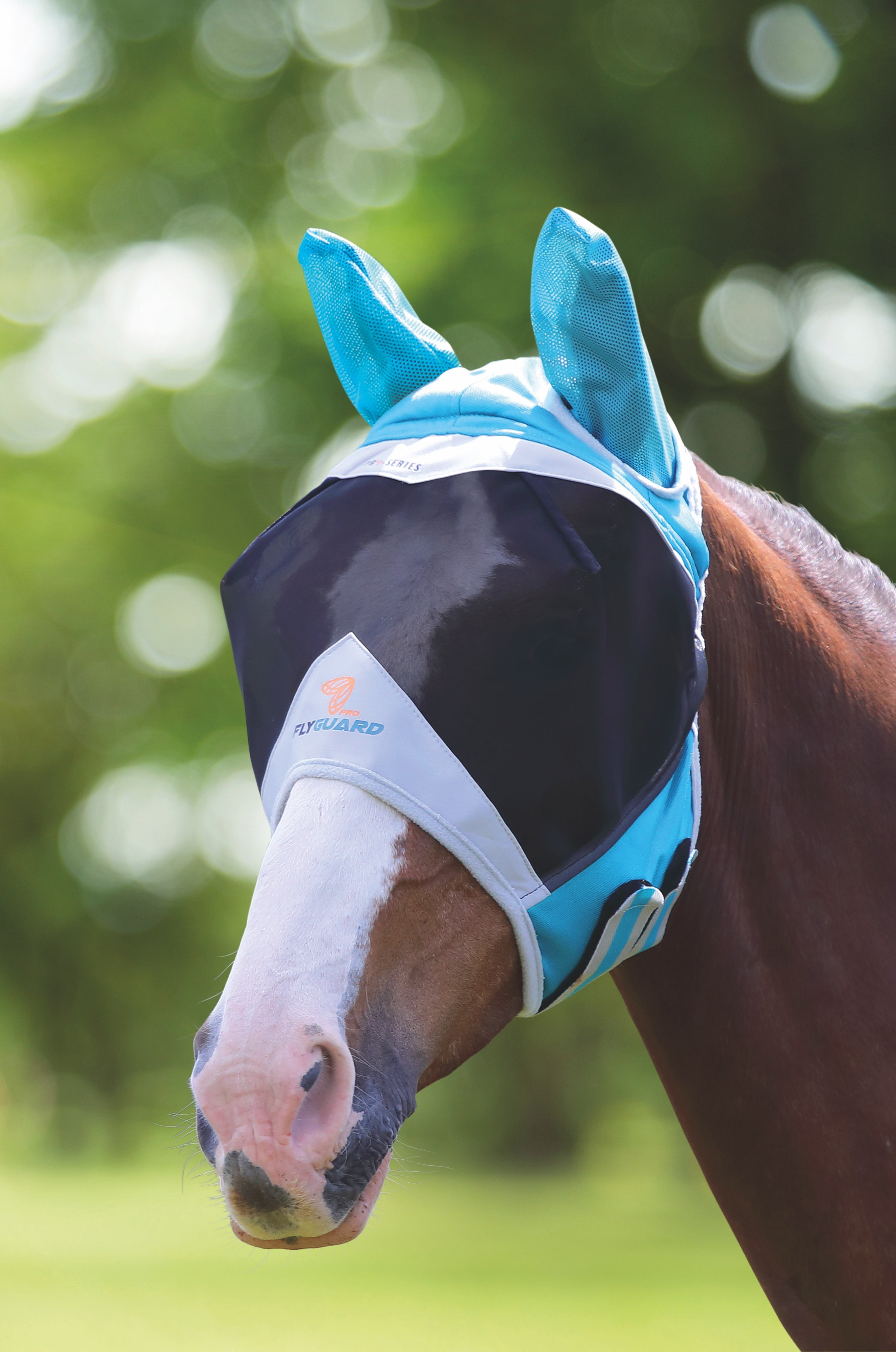 Shires Flughuva Öron Teal - Svensk Ridsport AB