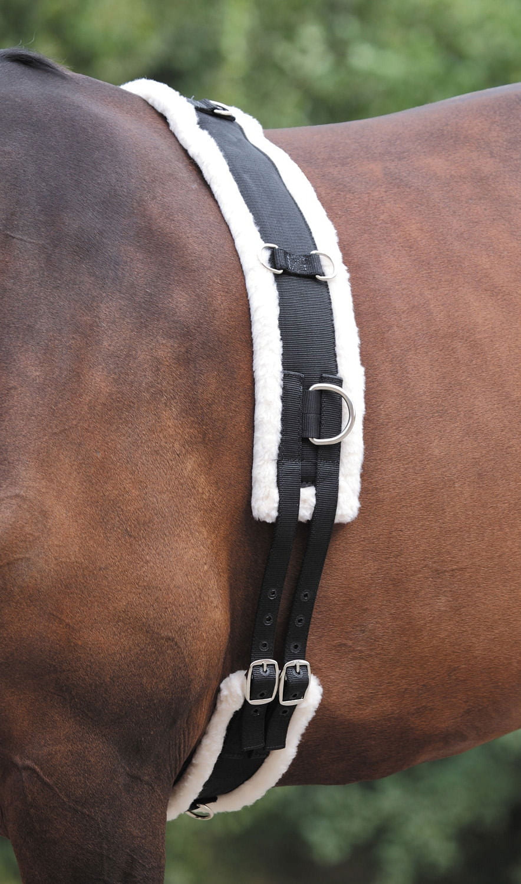 Intrepid International Miniature Horse Training Surcingle
