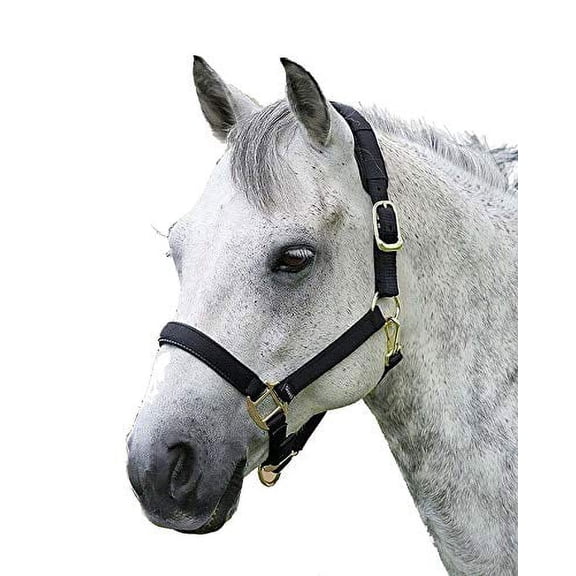 Shires Topaz Leather Breakaway Nylon Halter Black XSmall Pony
