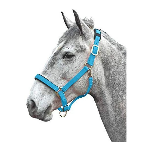 Shires Topaz Leather Breakaway Nylon Halter Blue Small Pony