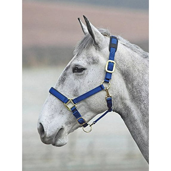 Shires Topaz Leather Breakaway Nylon Halter Navy Small Pony