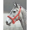 thumbnail image 1 of Shires Topaz Leather Breakaway Nylon Halter Orange Full, 1 of 2