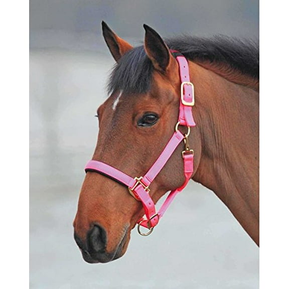 Shires Topaz Leather Breakaway Nylon Halter Pink Cob