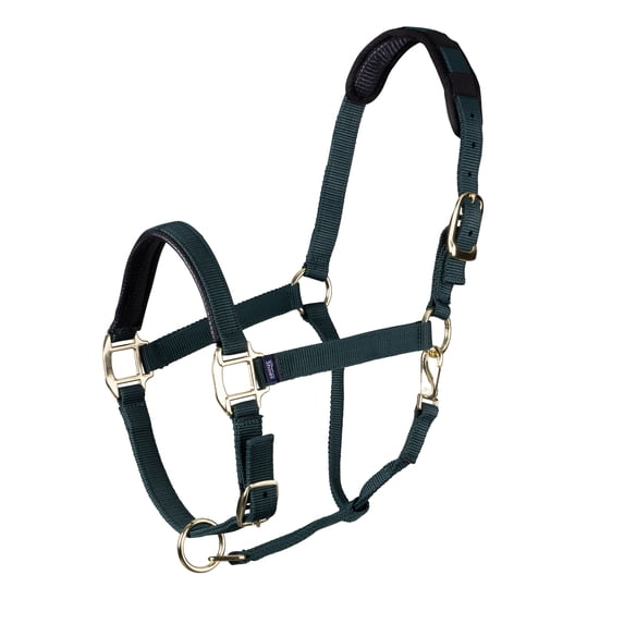 Shires Topaz Leather Breakaway Nylon Headcollar Dark Green Extra Small Pony