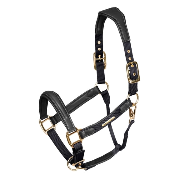 Shires Velociti Lusso Padded Leather Headcollar with Breakaway - Premium Padded Leather Horse Halter Black / Pony