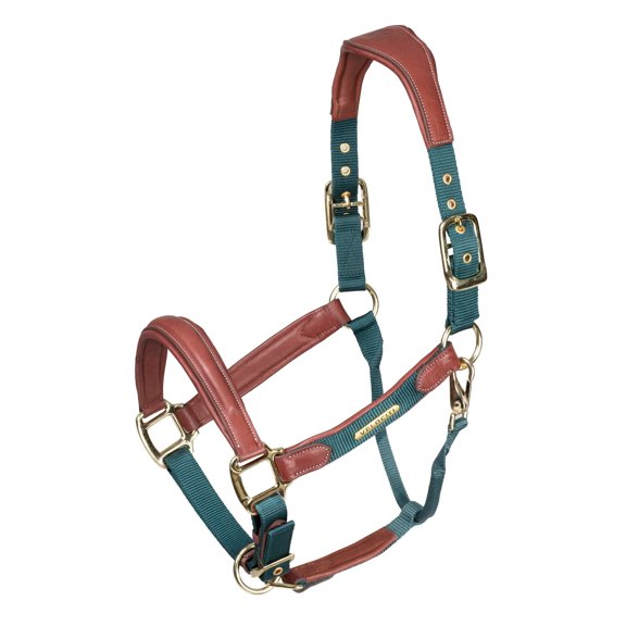 Shires Velociti Lusso Padded Leather Headcollar with Breakaway - Premium Padded Leather Horse Halter Green / Cob