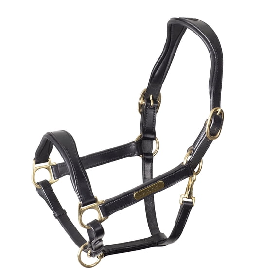 Shires Velociti Rapida Padded Leather Horse Halter and Headcollar Black / Full