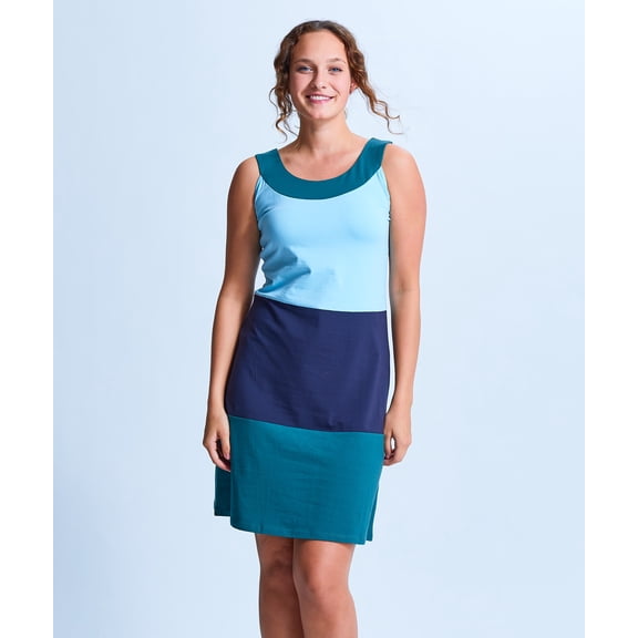 Shirin Color Blocked Sleeveless Dress