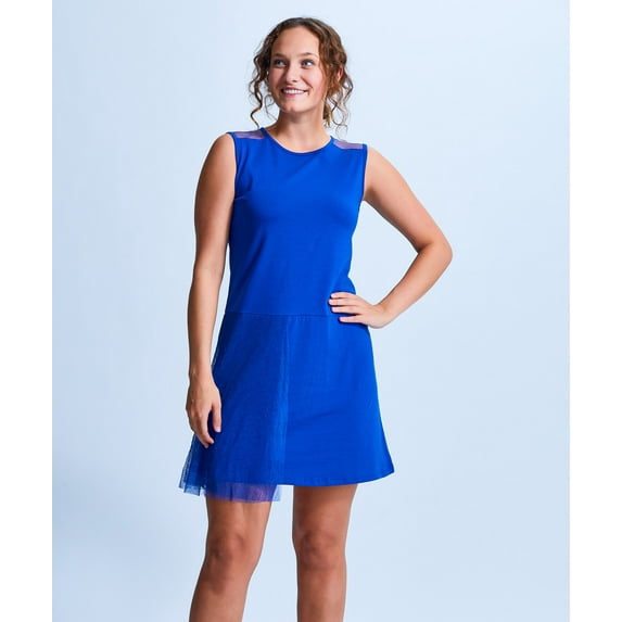 Shirin Mesh Flapper Sleeveless Dress