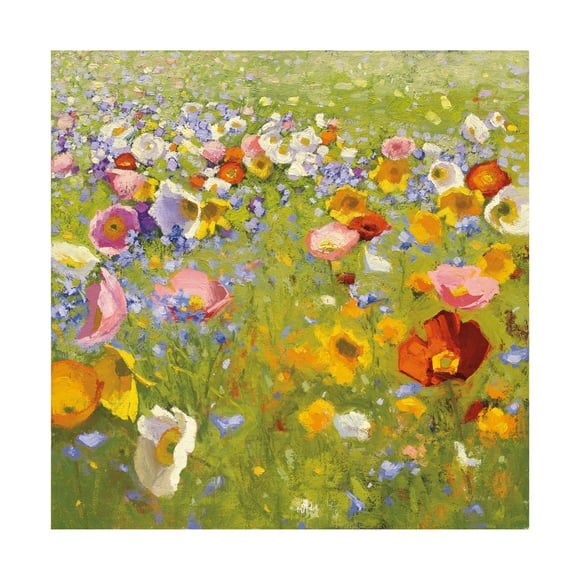 Shirley Novak 'Champ de Fleur I' Canvas Art