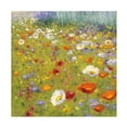 thumbnail image 1 of Shirley Novak 'Champ de Fleur II' Canvas Art, 1 of 3