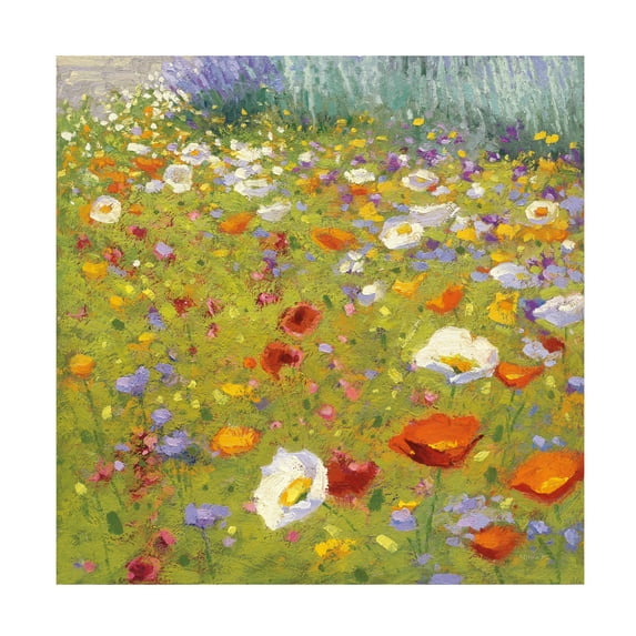 Shirley Novak 'Champ de Fleur II' Canvas Art