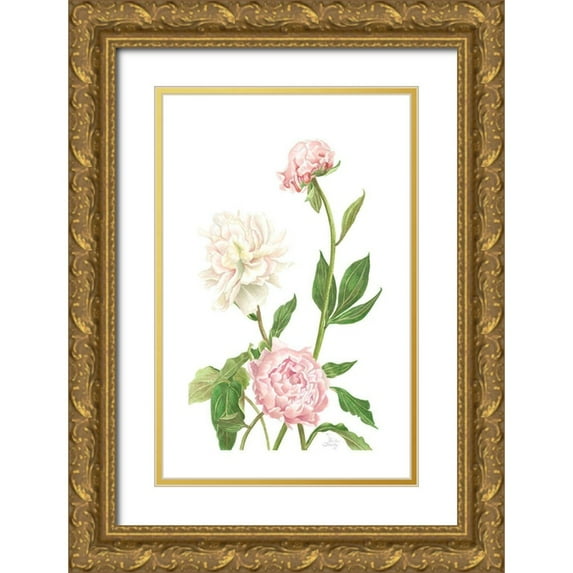 Shirley, Pamela 22x32 Gold Ornate Wood Framed with Double Matting Museum Art Print Titled - Peony I
