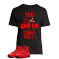 thumbnail image 1 of Shirt To Match Jordan 9 Chili Red,This Is Why I'm Hot Graphic Tee (M, Black), 1 of 3