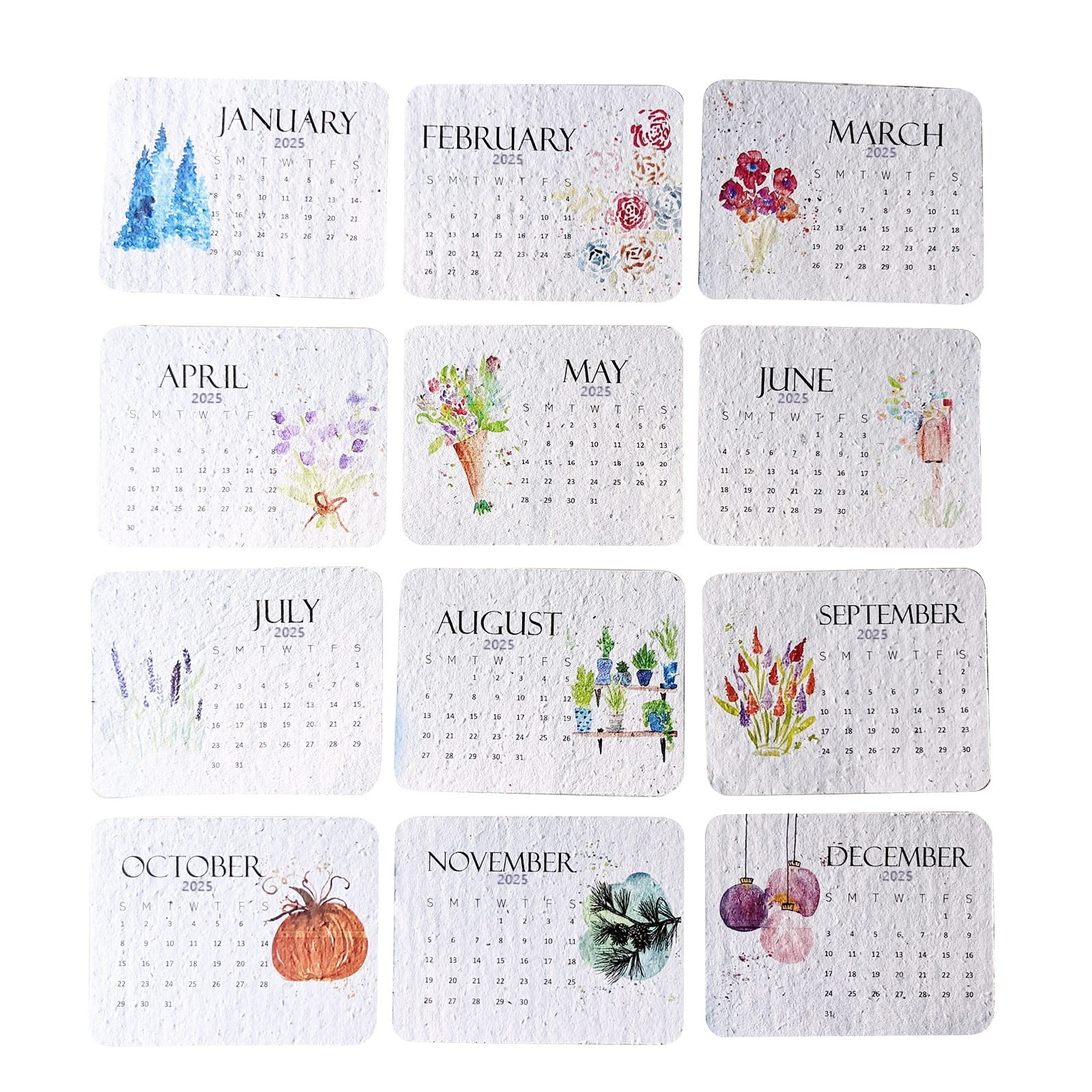 Shkhoas 3pcs Plantable Seed Calendar 2025 Seed Calendar From January 2025 to December 2025
