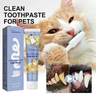 Cat Toothpaste
