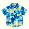 thumbnail image 1 of FAMTKT Toddler Baby Boys Fashion Short Sleeve Blouse Tropical Seaside Print Retro Shirt Summer Beach 2 Piece Outfits, Warehouse, 1 of 9
