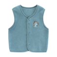 thumbnail image 1 of Shldybc Toddler Baby Boys Girls Winter Vest Fleece Zip up Cute Soft Waistcoat Fall Winter Clothes Solid Color Plush Cute Casual Outerwear Jackets( Mint Green, 2-3 Years ), 1 of 2