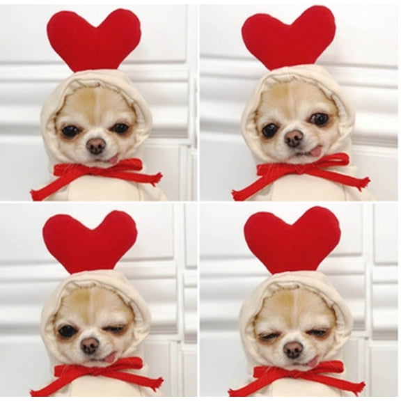 Shldybc Turned Into Dogs Cats Small and Medium-sized Dogs Autumn and Winter Sweaters Fleece Clothes, Dog Birthday Party Supplies, Pet Clothes