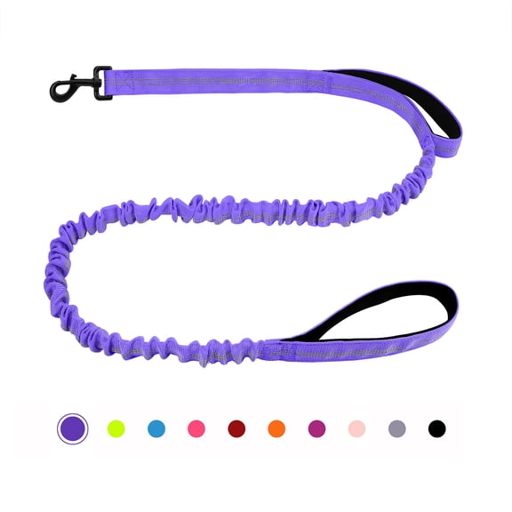 Shock Absorption Bungee Dog Leash Heavy Duty Double Handle Padded Training Leash for Strong Dogs