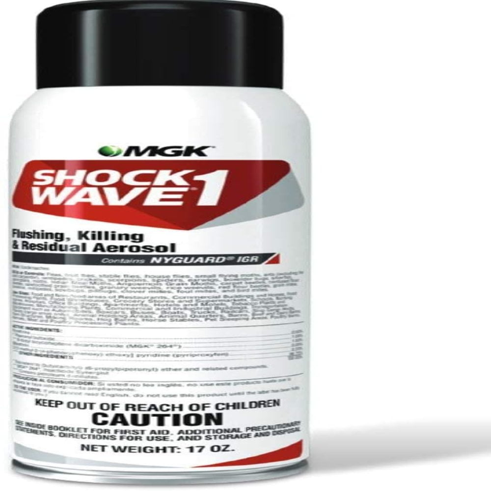 Shock Wave 1 Aerosol