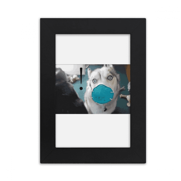 Shocked Silly Head Pet Dog Expression Desktop Photo Frame Picture Display Art Painting Exhibit
