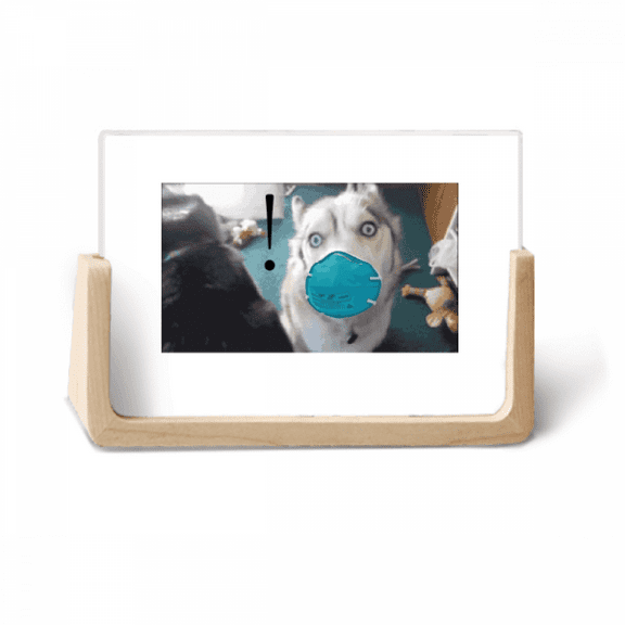 Shocked Silly Head Pet Dog Expression Photo Wooden Photo Frame Tabletop Display