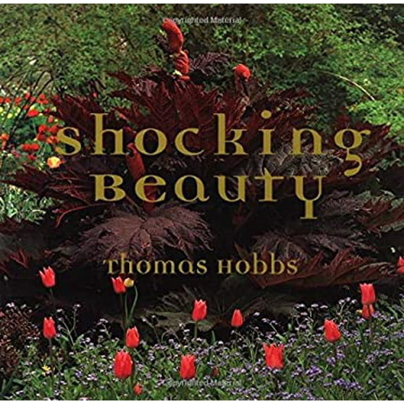 Pre-Owned Shocking Beauty (Hardcover) 9625935428 9789625935423