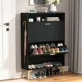 Shoe with 2 Flip Drawers, Freestanding Shoe Storage with Metal