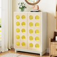 Shoe with Adjustable Shelves Modern Storage Buffet with