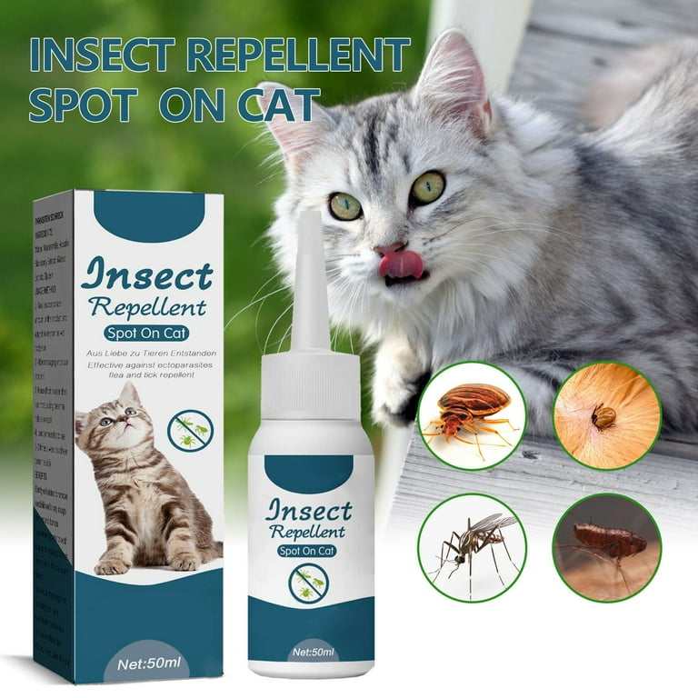 Fashion cat lice treatment