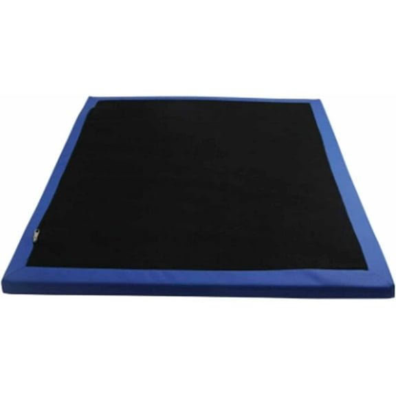 Shoe Solesdisinfecting Floor Mats, Sponge Entrance Mat, Shoe Sanitizer Mat Entry Rug Front Door Mat Disinfect Front Door Mat Outdoor Doormat for Hospital Laboratory Indoor Outdoor Floor(40x60cm)