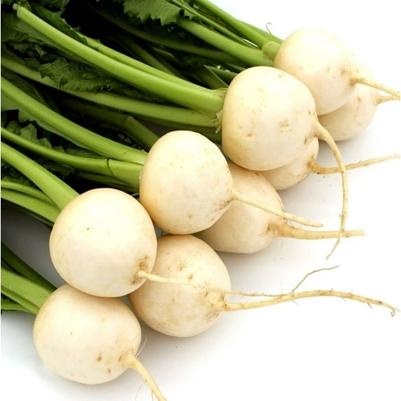 Shogoin Turnip Seeds/ Annual/ Full Sun/ 44K Seeds 1/4lb/ Zellajake Farm and Garden - B186