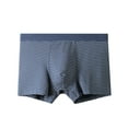 thumbnail image 1 of ShomPort Men's Mid-Rise Waisted Boxer Briefs Striped Printed Pouch Soft Cotton Hip Lift Smoothing Workout Panties, 1 of 2
