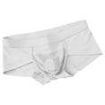 thumbnail image 1 of ShomPort Mid-Rise Waisted Briefs for Mens Solid Color Seamless Cotton Mesh Pouch Breathable Everyday Soft Panties, 1 of 3
