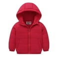 thumbnail image 1 of ShomPort Toddler Thick Padded Winter Coats Boys Girls Solid Color Lightweight Hooded Puffer Jacket, 1 of 9