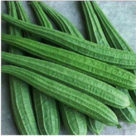 Shomzy 4 Store 10 Ridged Gourd Plant Seeds, Unique Gourd Variety