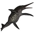 thumbnail image 1 of Shonisaurus  a prehistoric ichthyosaur from the Triassic period Poster Print, 1 of 2