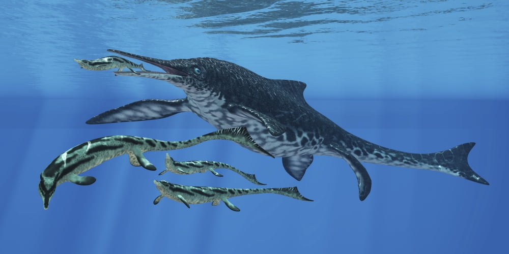 Shonisaurus hunting Cymbospondylus in Triassic waters Canvas Art - Corey FordStocktrek Images (20 x 10)