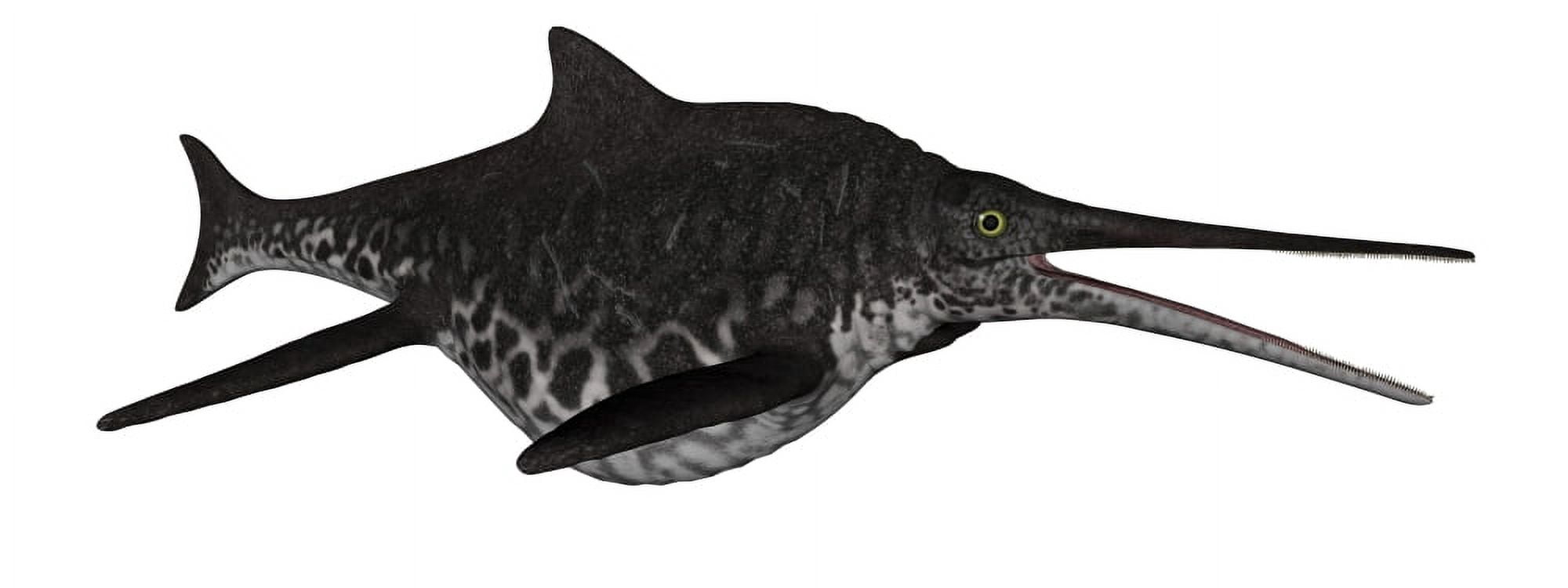 Shonisaurus marine reptile fish isolated on white background Canvas Art - Elena DuvernayStocktrek Images (45 x 17)