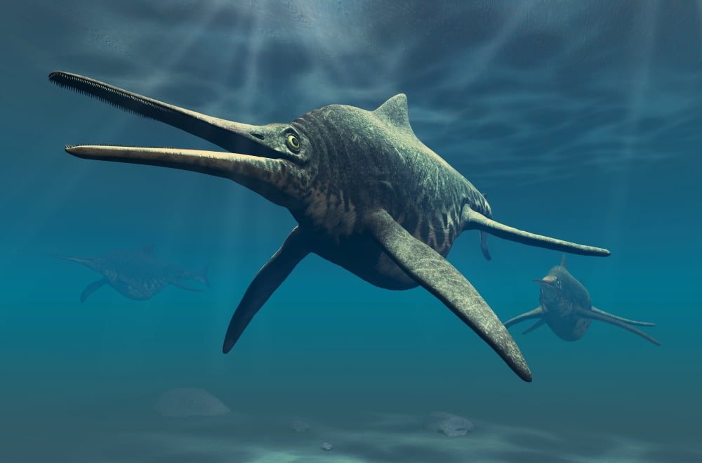 Shonisaurus was a genus of ichthyosaur from the Triassic period Canvas Art - Philip BrownlowStocktrek Images (35 x 23)