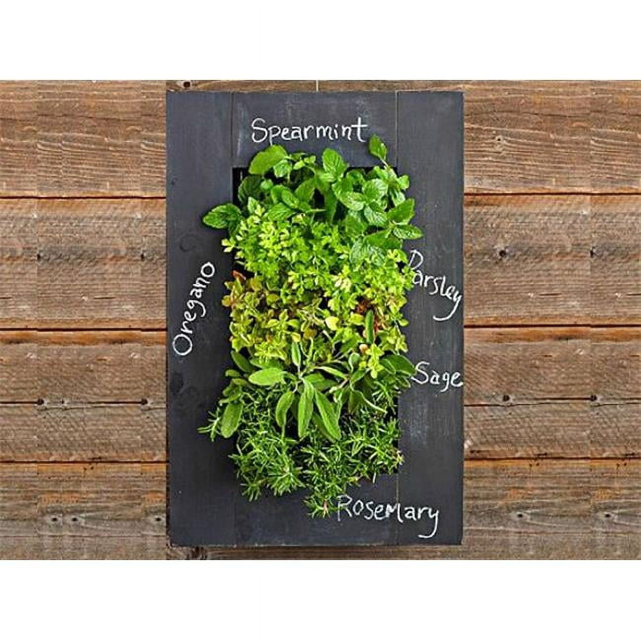 Shop Living Walls BGWM8CB Chalkbaord Wall Mounted Living Wall Frame