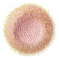 thumbnail image 1 of Craig Bachman 6.25 Inch Flower Head Center: Pink/Yellow, DIY Wreath Center, 1 of 3