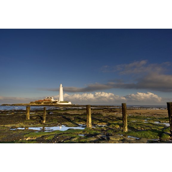 Shore And Lighthouse In Distance Whitley Bay Northumberland England Canvas Art - John Short  Design Pics (18 x 12)