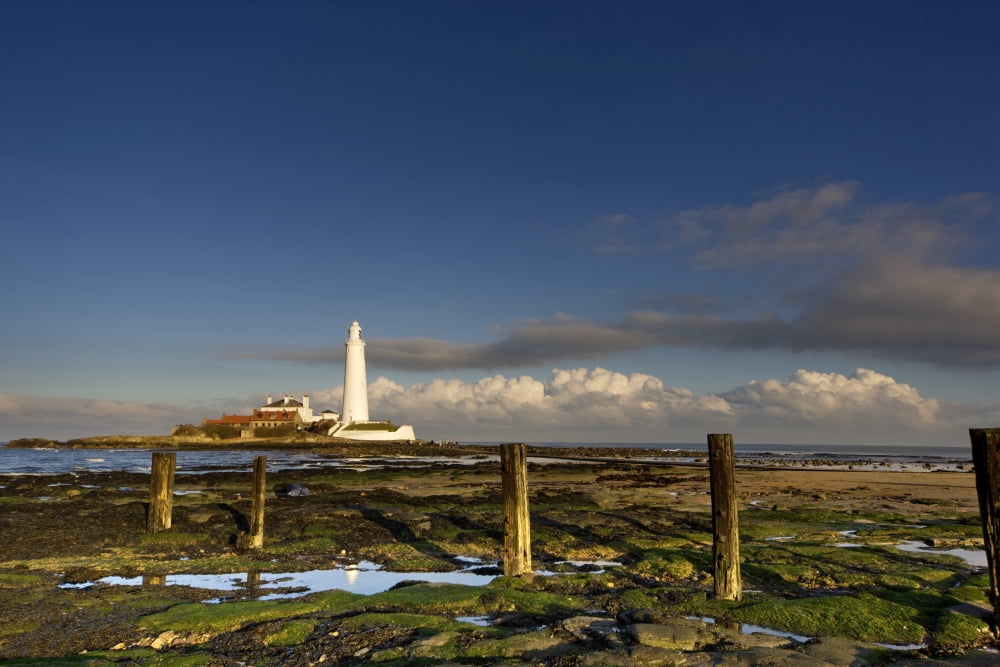 Shore And Lighthouse In Distance Whitley Bay Northumberland England Canvas Art - John Short Design Pics (36 x 24)