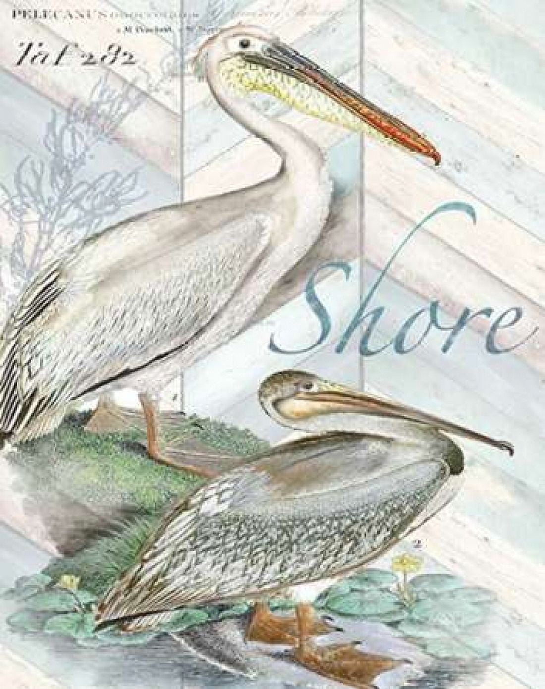 Shore Birds I Canvas Art - Tre Sorelle Studios (22 x 28)