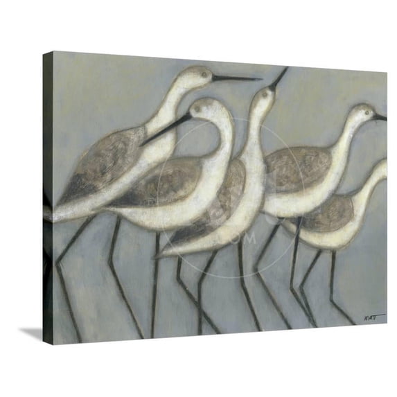 Shore Birds II, Animals Stretched Canvas Wall Art by Norman Wyatt Jr Sold by Art.Com