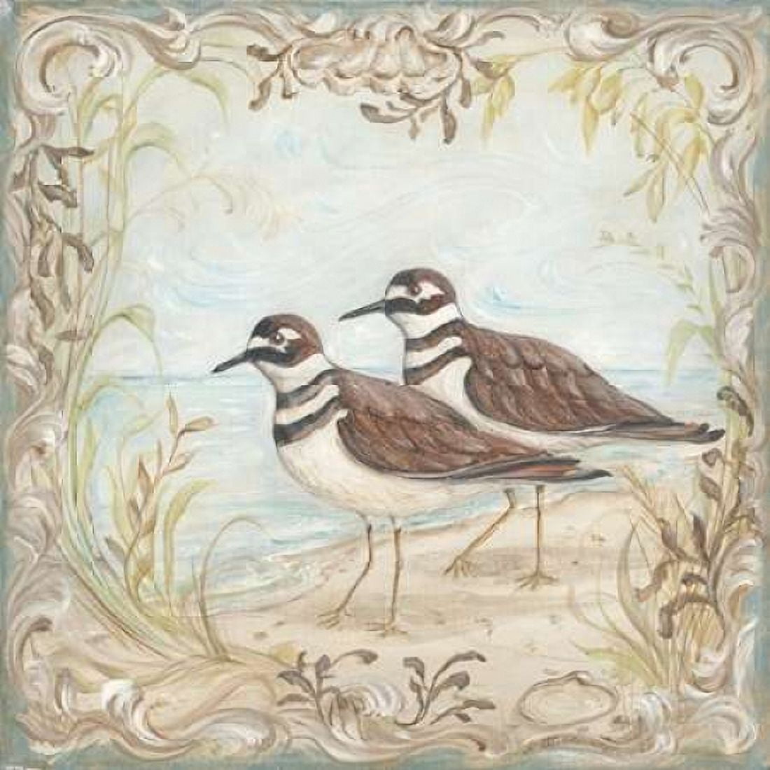 Shore Birds II Canvas Art - Kate McRostie (24 x 24)